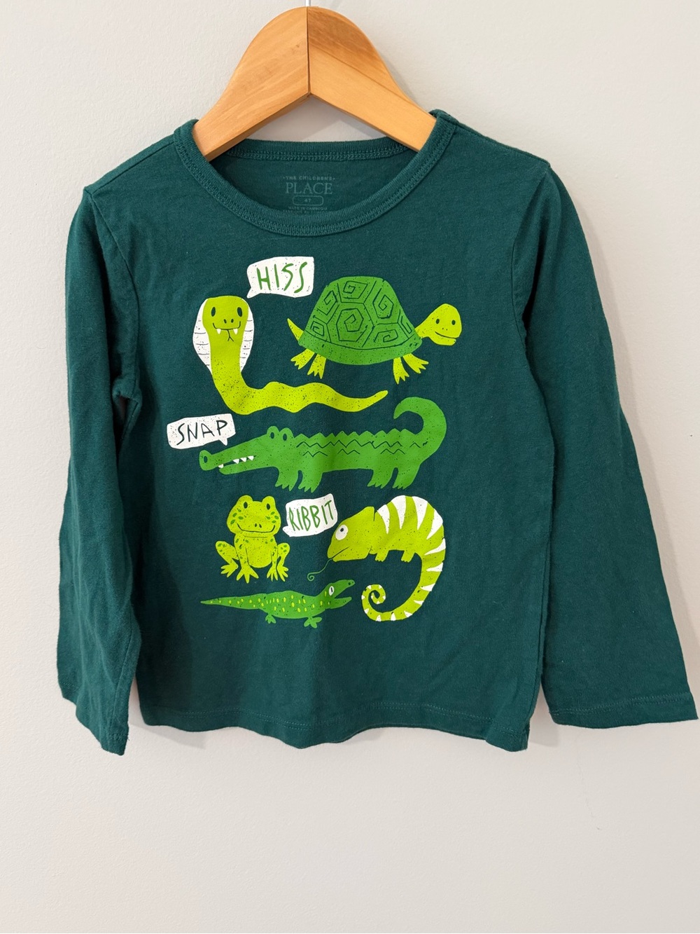 The Children's Place Shirt